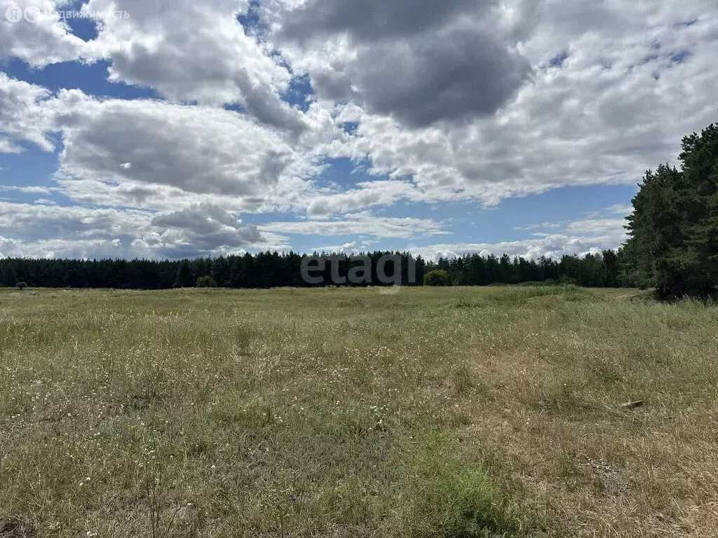 Участок в Чердаклинский район, Крестовогородищенское сельское ... - Фото 1