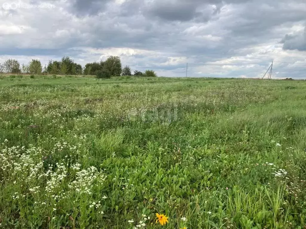 Участок в Московская область, городской округ Коломна, село Мячково ... - Фото 0