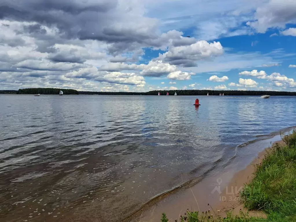 Участок в Московская область, Мытищи городской округ, д. Шолохово  ... - Фото 1
