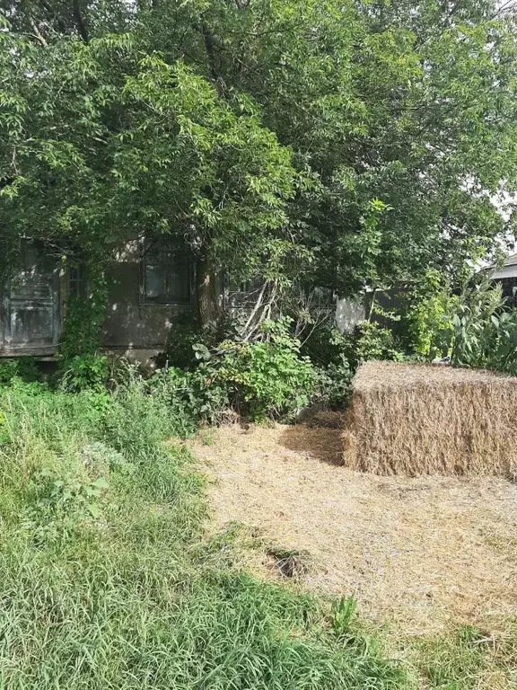 Участок в Воронежская область, Рамонское городское поселение, пос. Бор ... - Фото 1