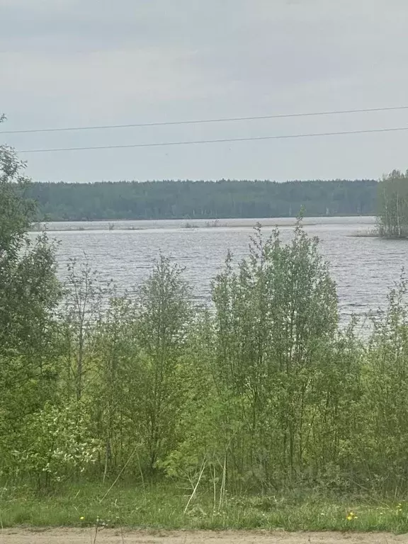 Участок в Вологодская область, Белозерский муниципальный округ, д. ... - Фото 1