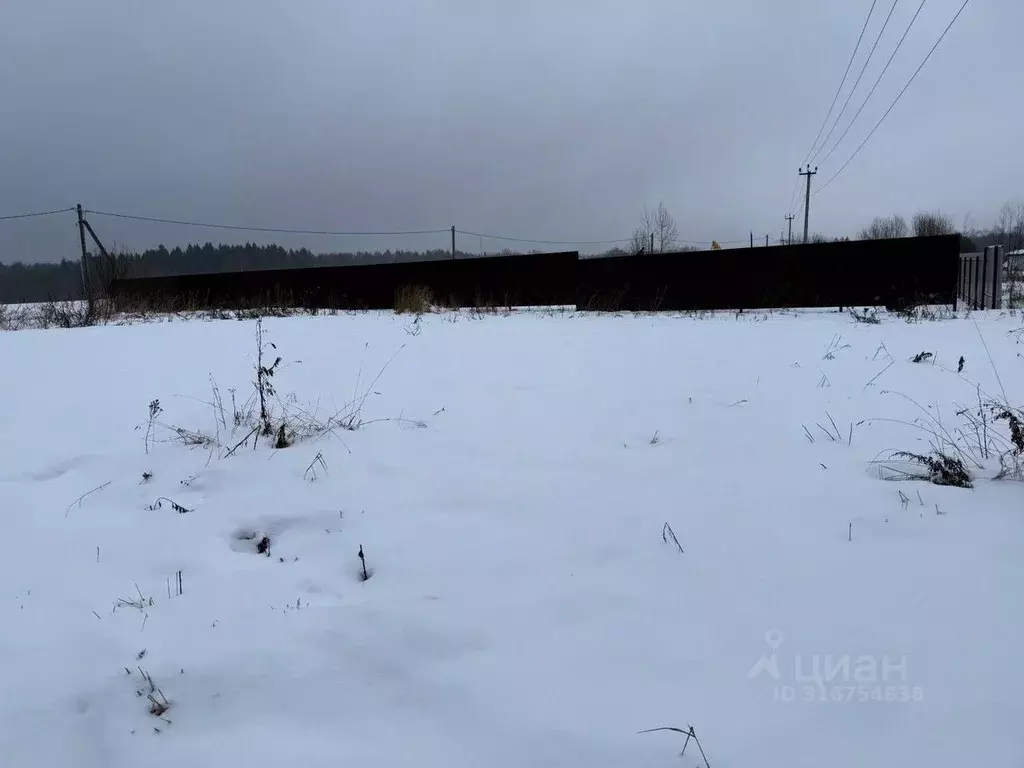Участок в Московская область, Пушкинский городской округ, д. Никулино  ... - Фото 0
