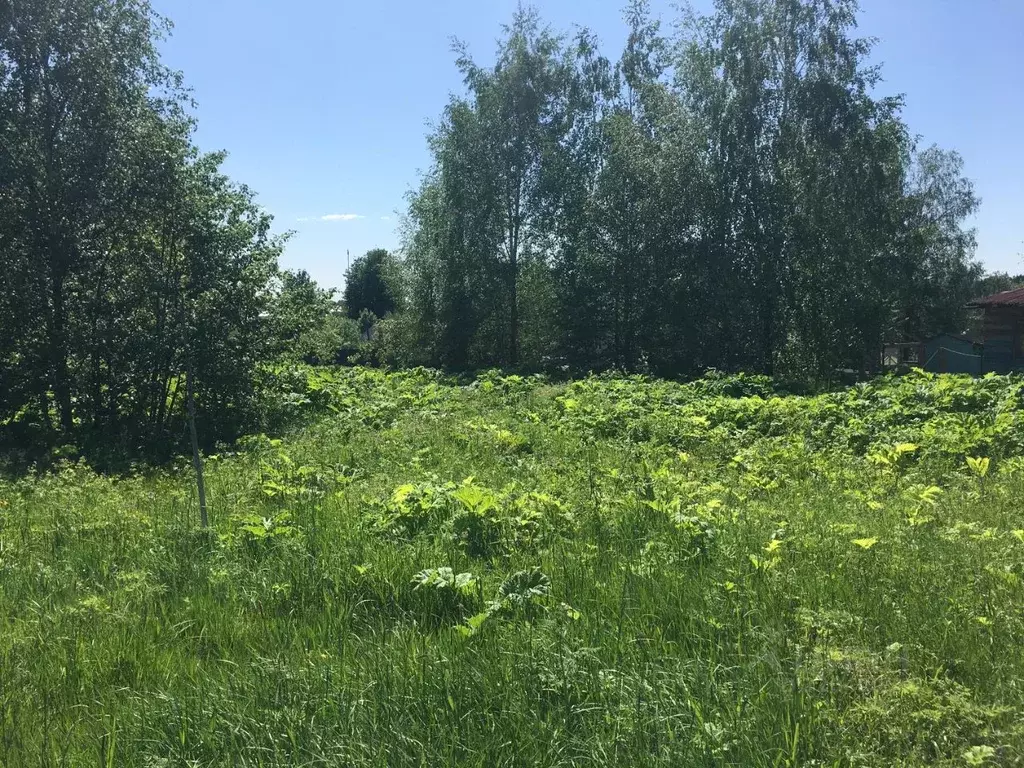 Участок в Московская область, Пушкинский городской округ, д. Цернское  ... - Фото 0