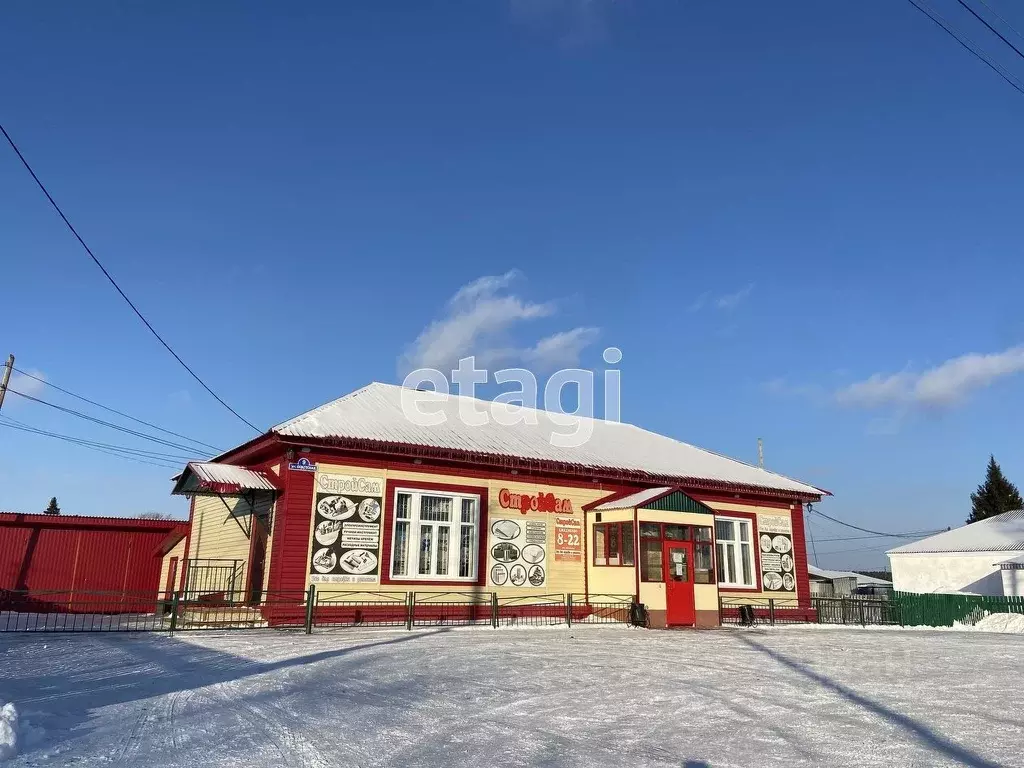 Торговая площадь в Тюменская область, Нижнетавдинский район, с. ., Продажа  торговых помещений Велижаны, Нижнетавдинский район, ID объекта - 80001020131