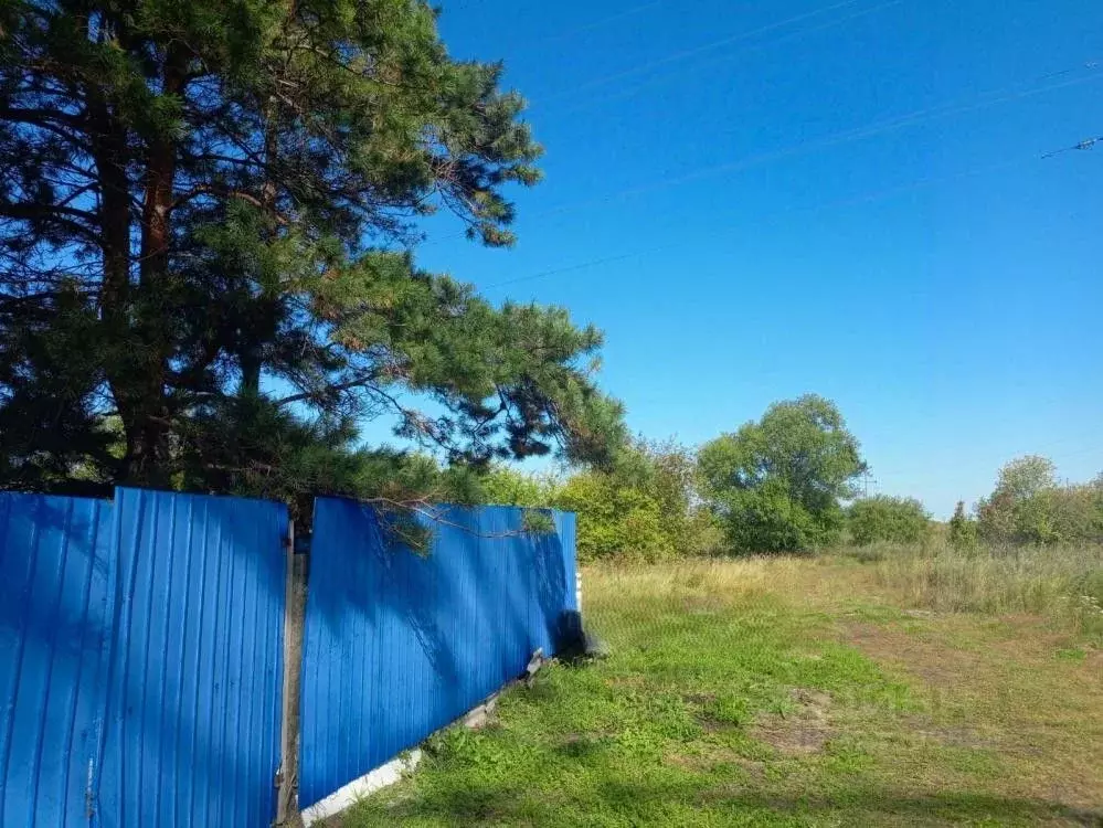 Коттедж в Амурская область, Белогорский муниципальный округ, с. ... - Фото 2