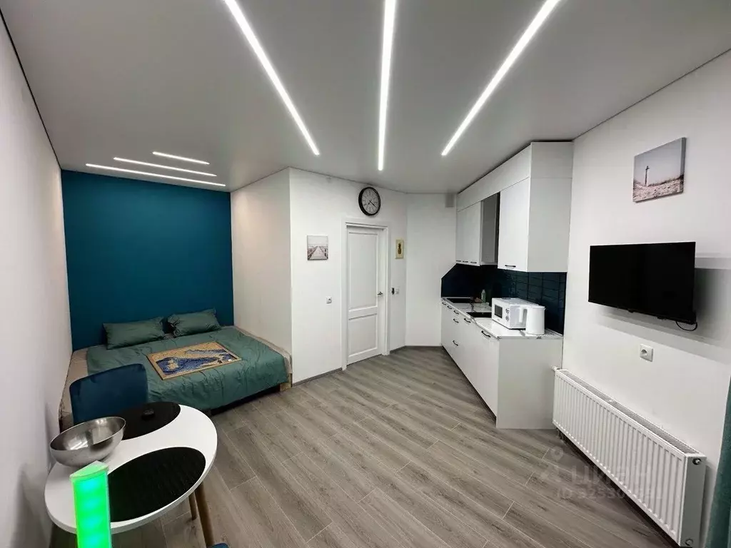 Студия Санкт-Петербург ул. Маршала Захарова, 8 (25.0 м) - Фото 2