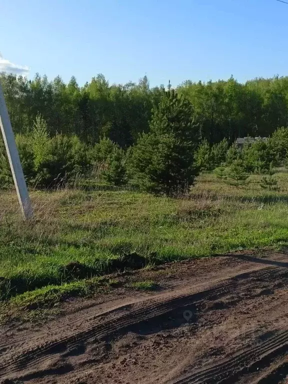 Участок в Татарстан, Высокогорский район, Березкинское с/пос, с. Инся  ... - Фото 2