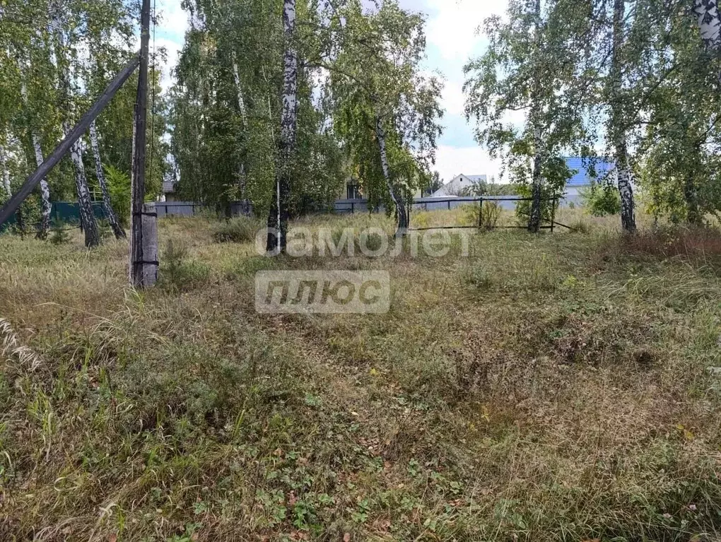Участок в Курганская область, Кетовский муниципальный округ, с. ... - Фото 1