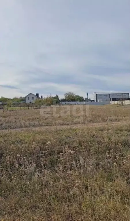 Участок в Воронежская область, Рамонский район, Новоживотинновское ... - Фото 1