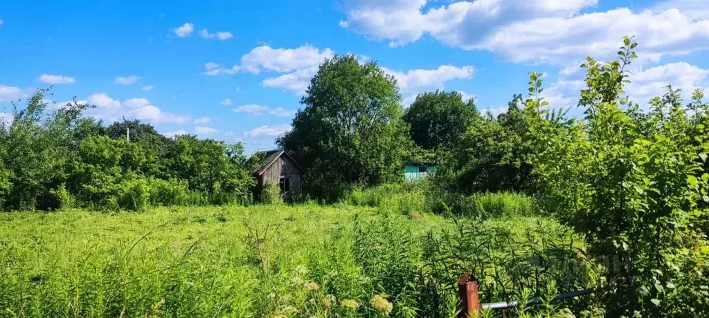 Участок в Брянская область, Брянский район, Добрунское с/пос, д. ... - Фото 0