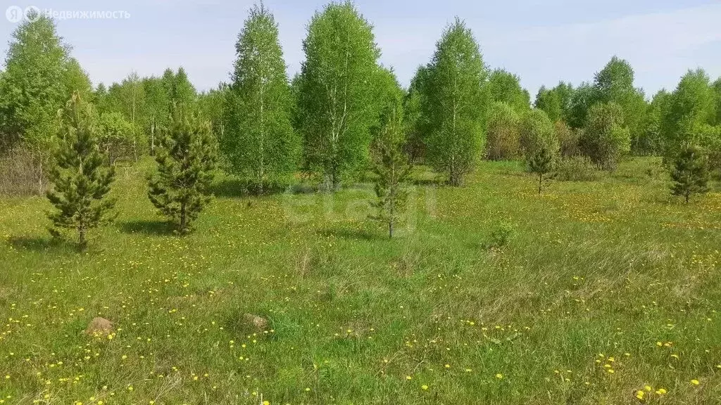 Участок в Тюменская область, Нижнетавдинский муниципальный округ, село ... - Фото 2