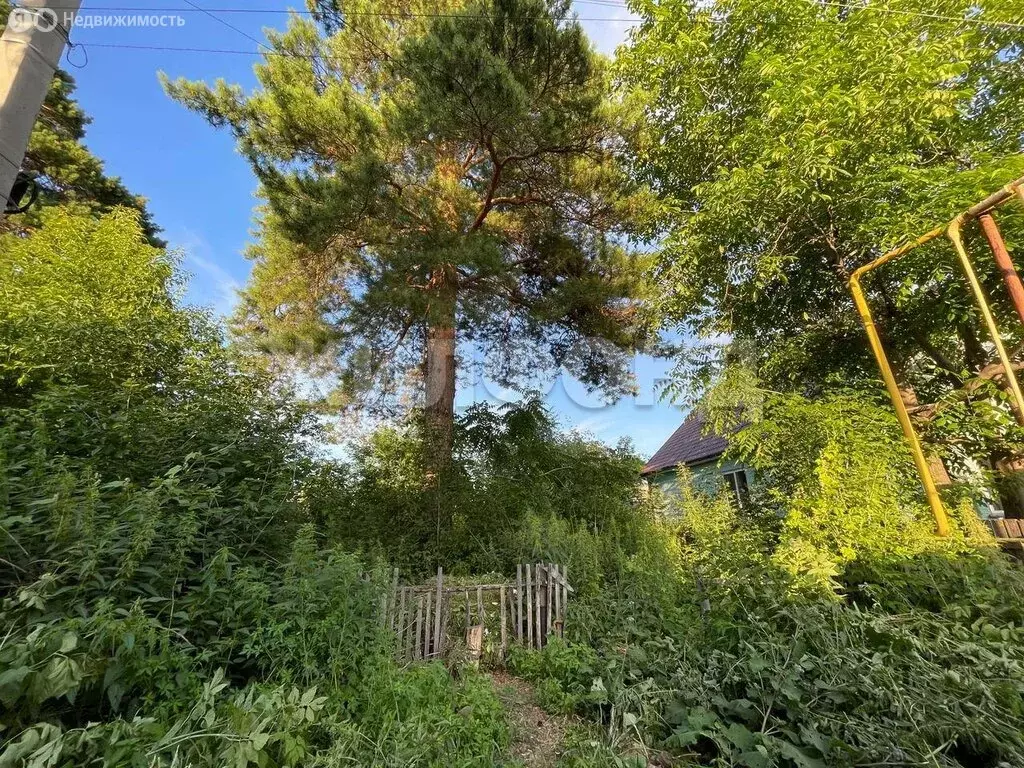 Участок в Новосибирск, Анжерская улица (6.5 м) - Фото 1