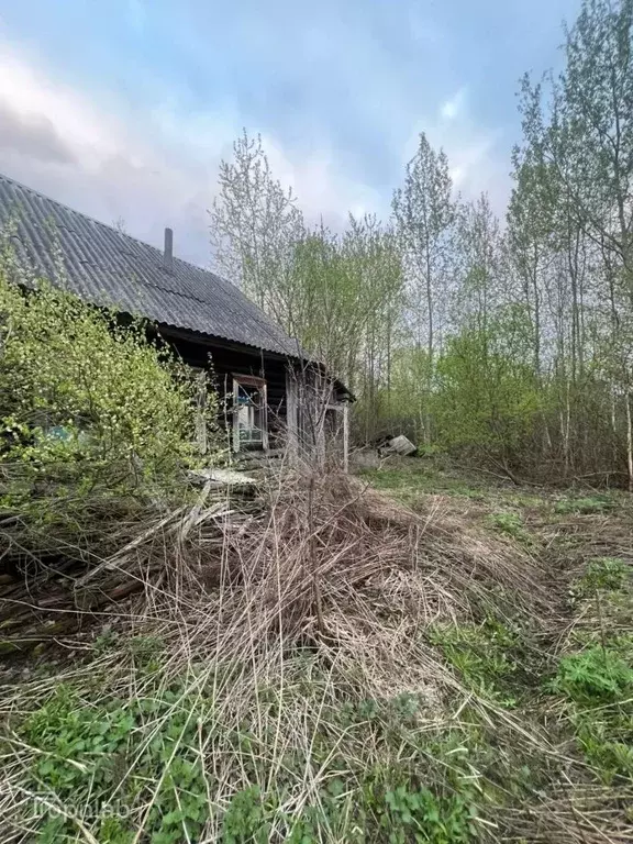 Дом в Брянская область, Брянский район, Нетьинское с/пос, д. Глаженка ... - Фото 2