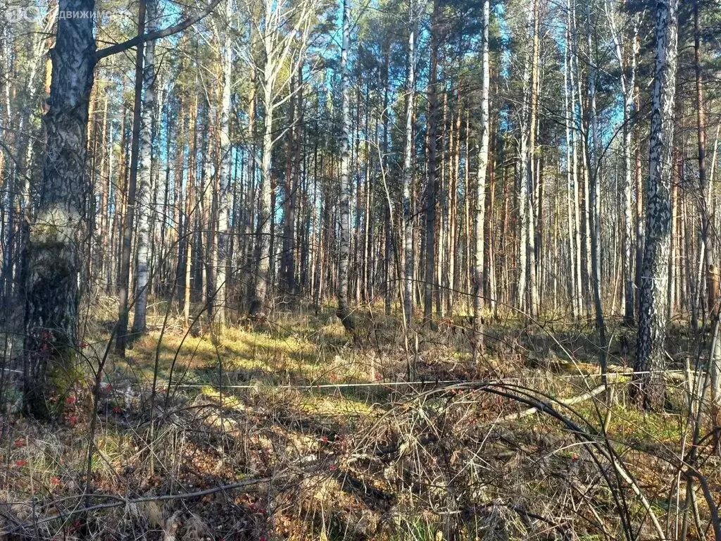 Участок в Тобольск, садоводческое товарищество Вымпел (13.5 м) - Фото 1
