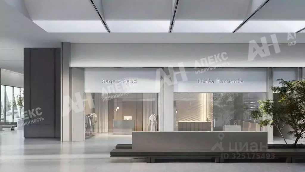 Офис в Москва Рябиновая ул., 44С2 (74 м) - Фото 1