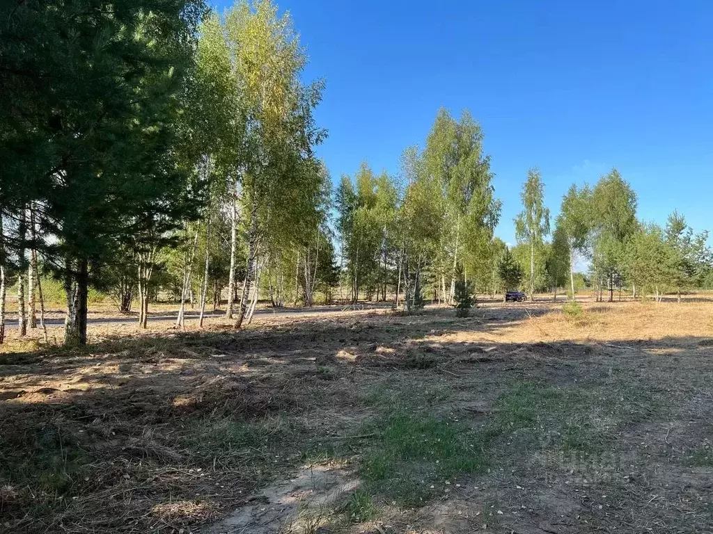 Участок в Московская область, Подольск городской округ, Пузиково кп 82 ... - Фото 1