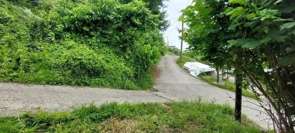 Участок в Краснодарский край, Сочи Бытха мкр, ул. Краевско-Греческая, ... - Фото 2