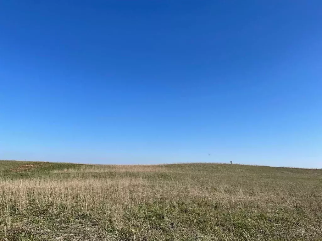 Участок в Ленинградская область, Ломоносовский район, Виллозское ... - Фото 1