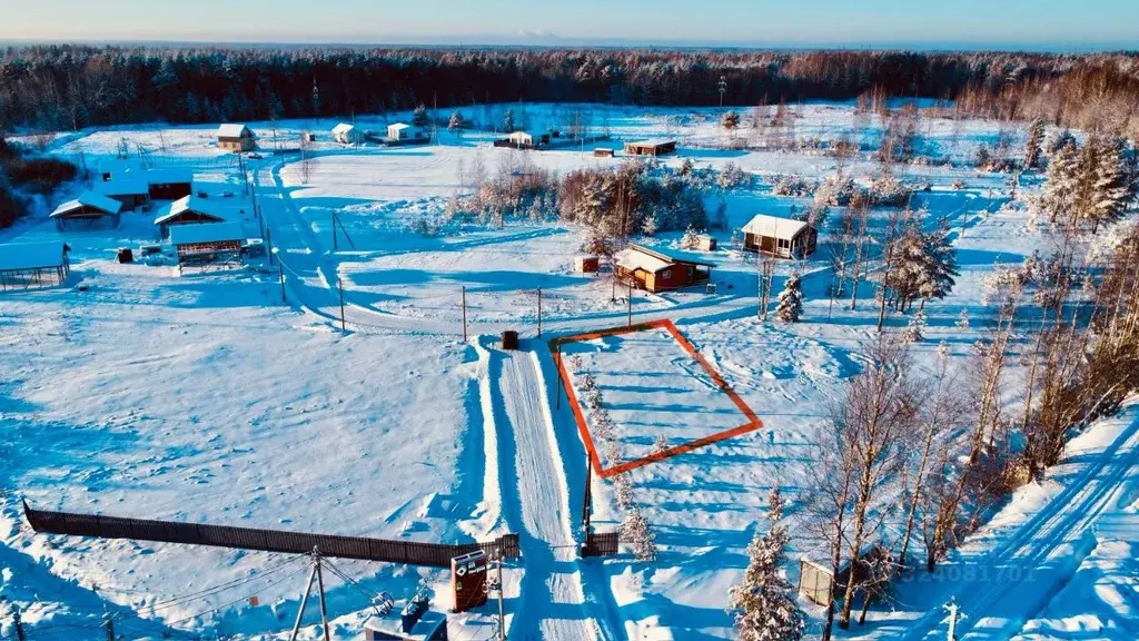 Участок в Ленинградская область, Ломоносовский район, Низинское с/пос, ... - Фото 2