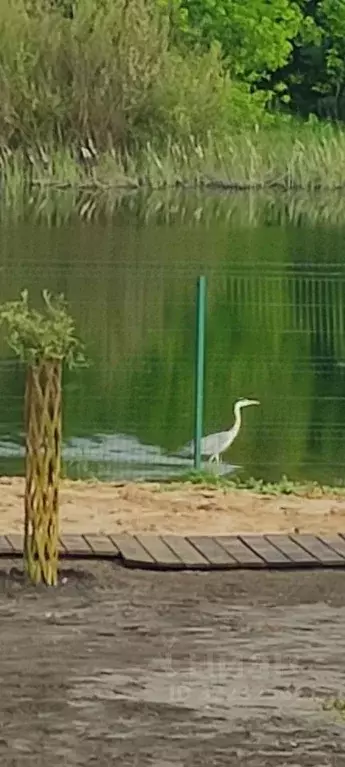 Коттедж в Саратовская область, Энгельсский район, Красноярское ... - Фото 0