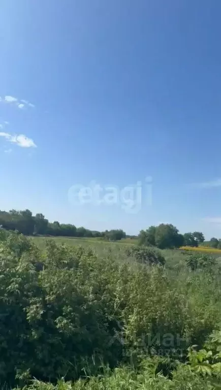 Участок в Сахалинская область, Анивский городской округ, с. ... - Фото 0