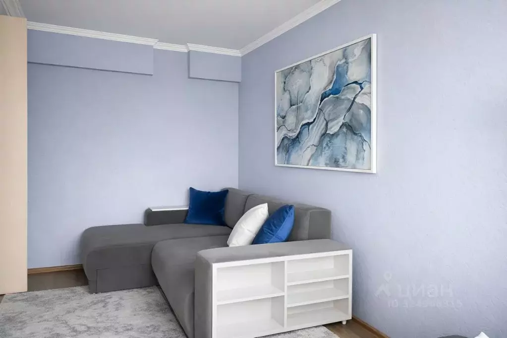 1-к кв. Московская область, Пушкино Писаревская ул., 3 (30.5 м) - Фото 1