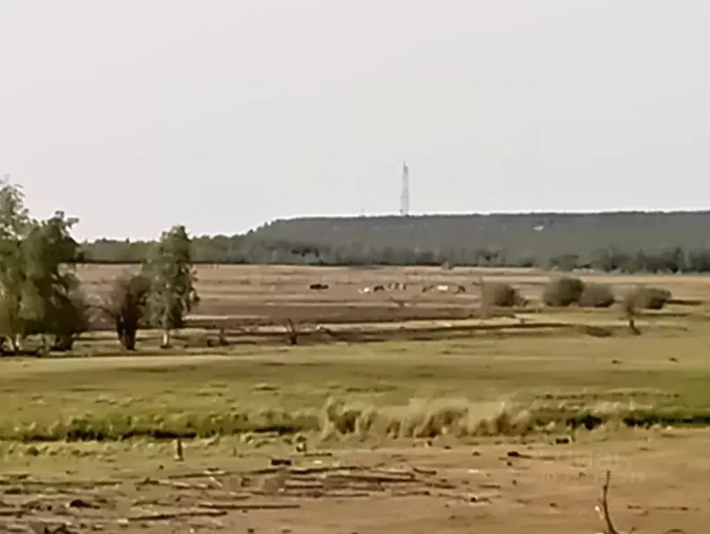 Участок в Саха (Якутия), Мегино-Кангаласский улус, Нерюктяйинский ... - Фото 1