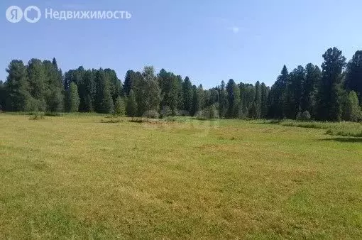 Участок в Чойский район, село Кузя (198.63 м) - Фото 1