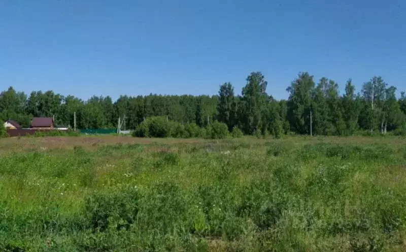 Участок в Татарстан, Высокогорский район, с. Семиозерка ул. Лесная ... - Фото 0