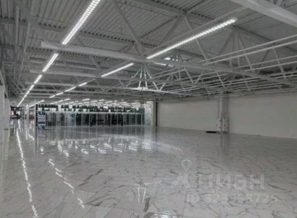 Торговая площадь в Санкт-Петербург Дунайский просп., 27к1 (800 м) - Фото 1