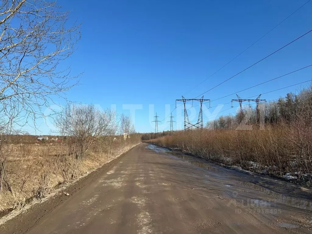 Участок в Ленинградская область, Отрадное Кировский район, ул. ... - Фото 2