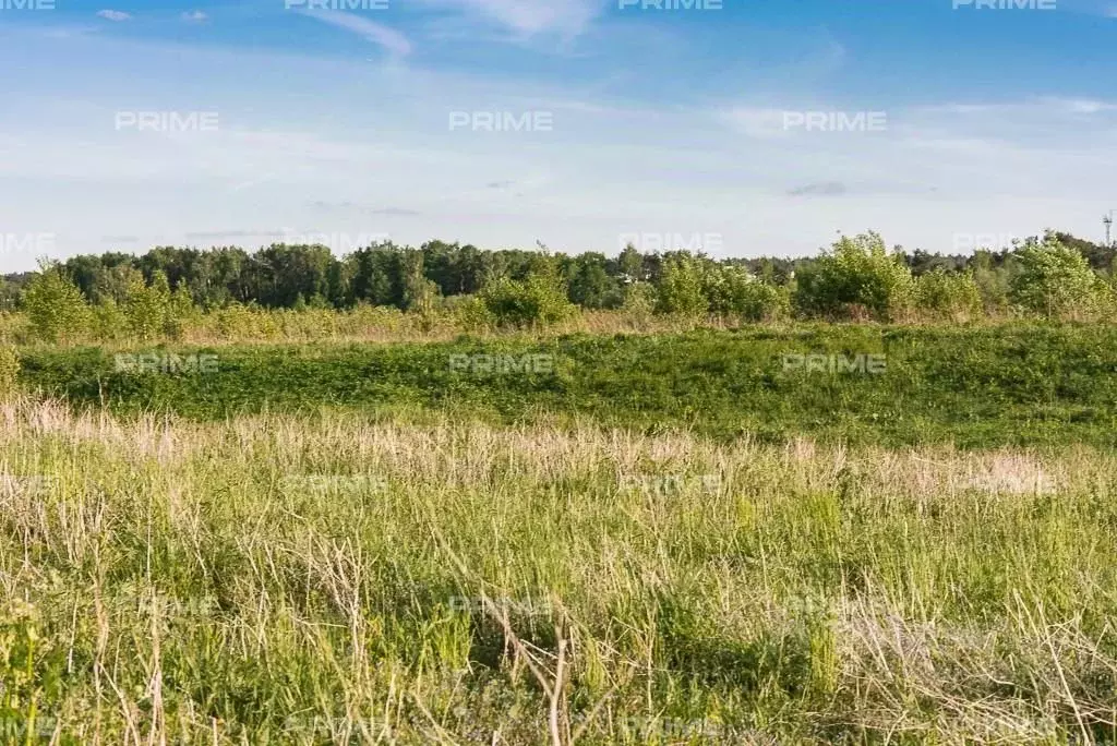 Участок в Московская область, Одинцовский городской округ, д. Жуковка ... - Фото 0