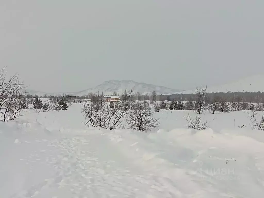 Участок в Алтайский край, Алтайский район, Айский сельсовет, ... - Фото 1