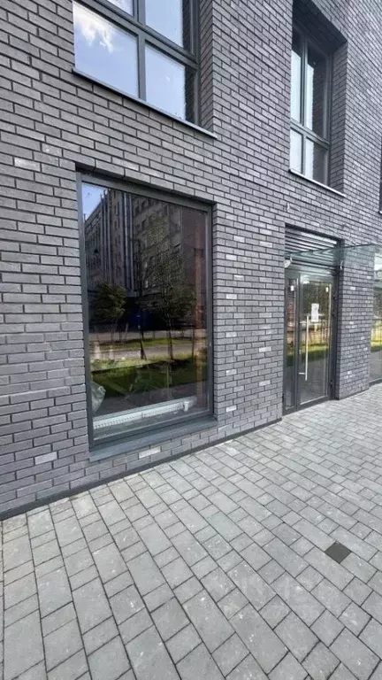 Помещение свободного назначения в Санкт-Петербург просп. Энгельса, 31 ... - Фото 1