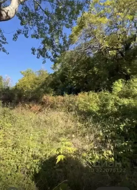 Участок в Краснодарский край, Туапсинский муниципальный округ, с. ... - Фото 2