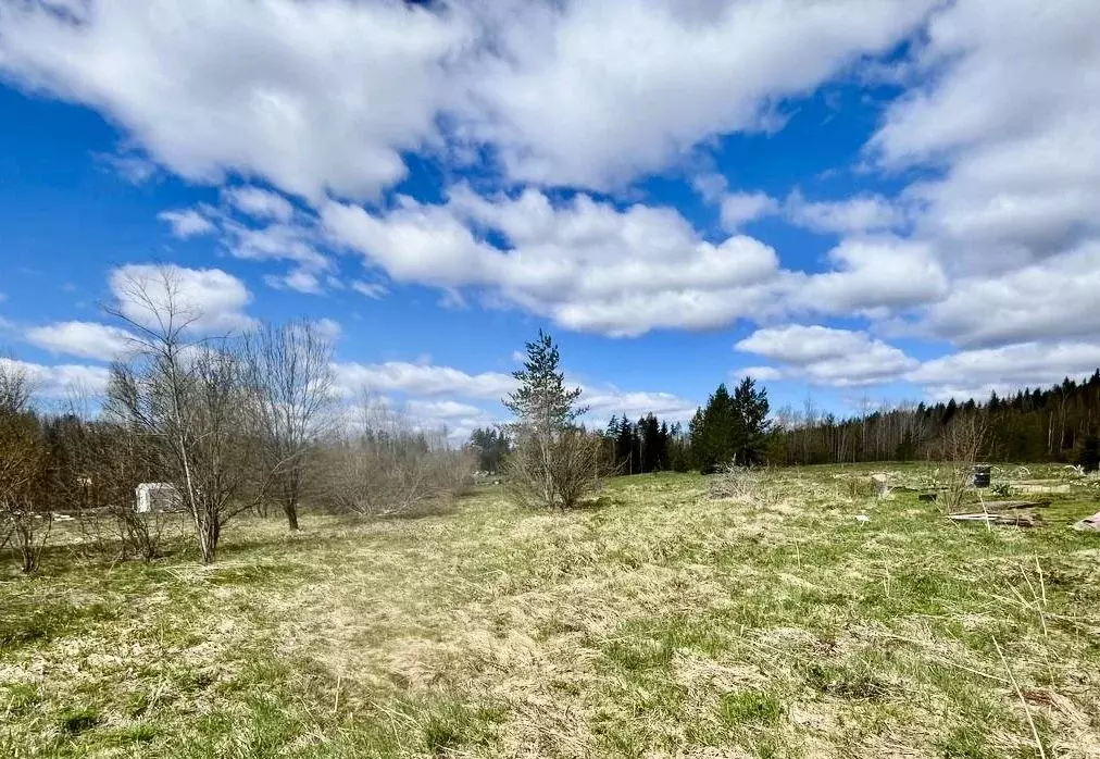 Участок в Ленинградская область, Выборгский район, Селезневское с/пос, ... - Фото 1