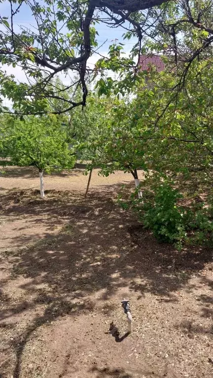 Дом в Волгоградская область, Волжский Новые сады СНТ, проезд 15-й (24 ... - Фото 2