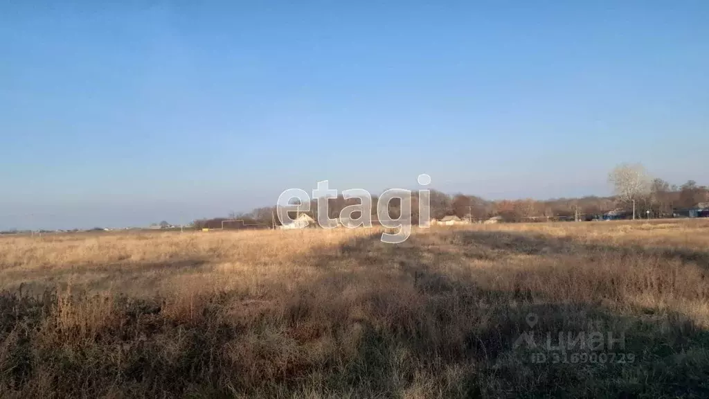 Участок в Белгородская область, Корочанский район, Новослободское ... - Фото 0