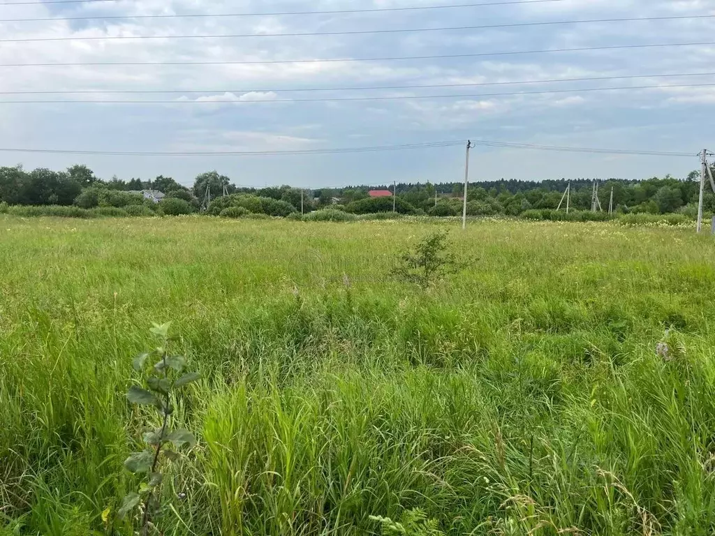 Участок в Москва № 92 кв-л,  (11.0 сот.) - Фото 1