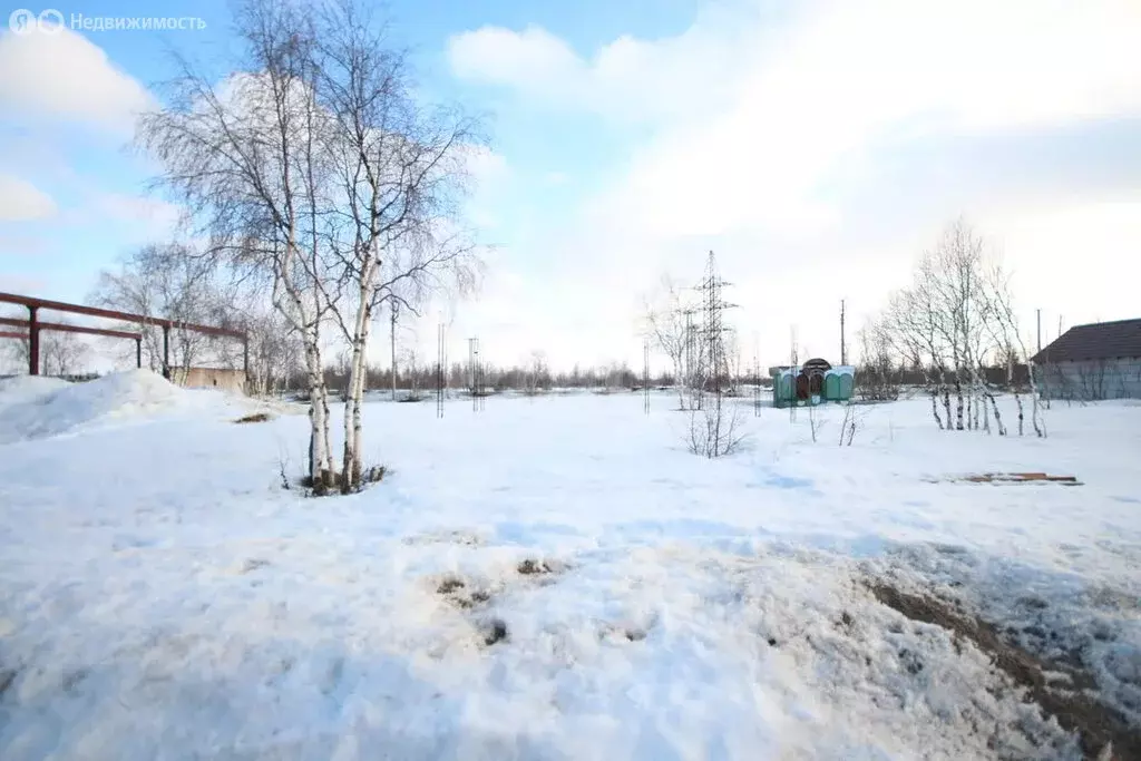 Участок в Новый Уренгой, Грибная улица (600 м) - Фото 1