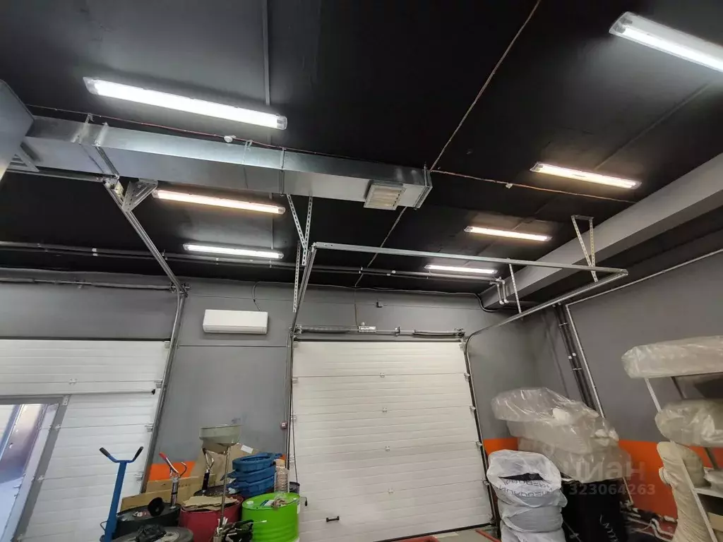 Помещение свободного назначения в Алтайский край, Барнаул ул. Эмилии ... - Фото 2