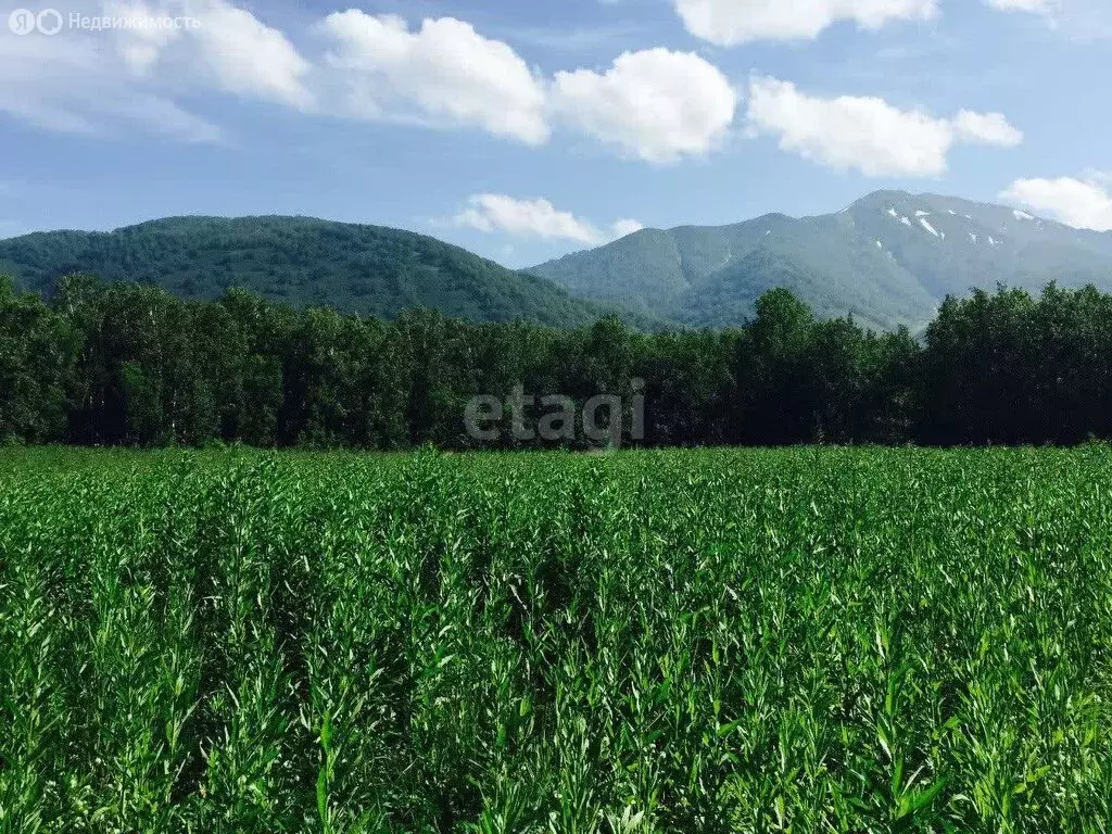 Участок в Елизовский район, село Коряки (77 м) - Фото 1