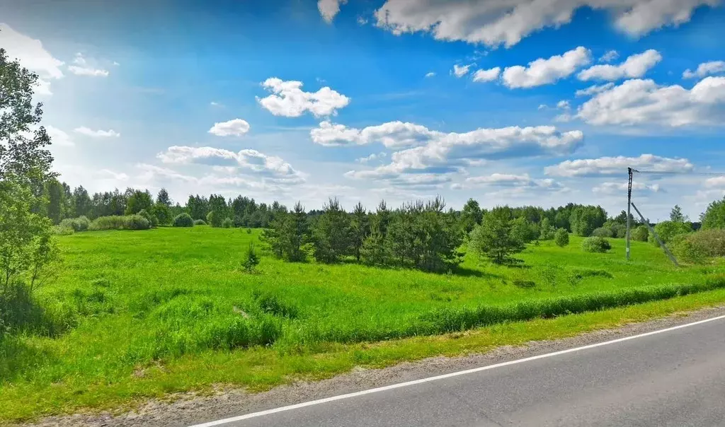 Участок в Московская область, Богородский городской округ, д. Тимково ... - Фото 2