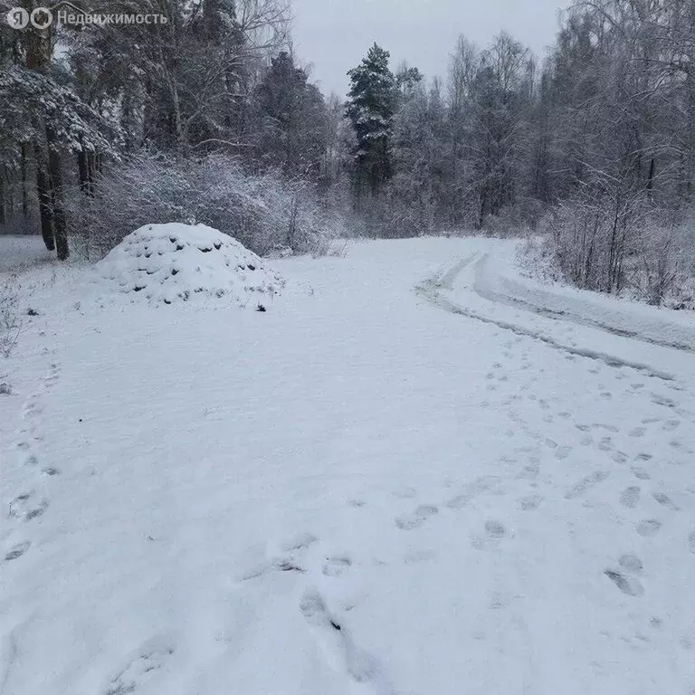 Участок в деревня Большое Шелепино, Новая улица (14 м) - Фото 2