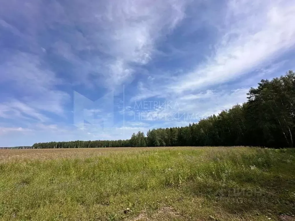 Участок в Тюменская область, Тюменский район, с. Кулига  (6.0 сот.) - Фото 1