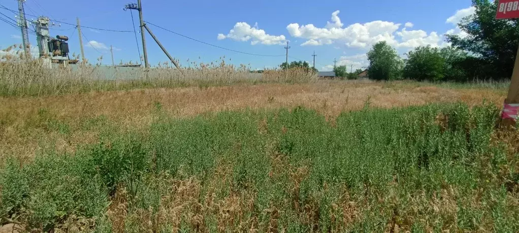 Участок в Волгоградская область, Среднеахтубинский район, Фрунзенское ... - Фото 1