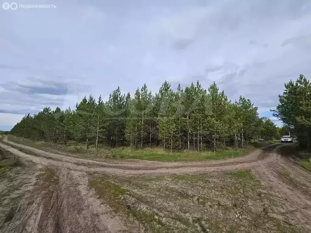 Участок в Свердловская область, посёлок городского типа Тугулым (17 м) - Фото 0