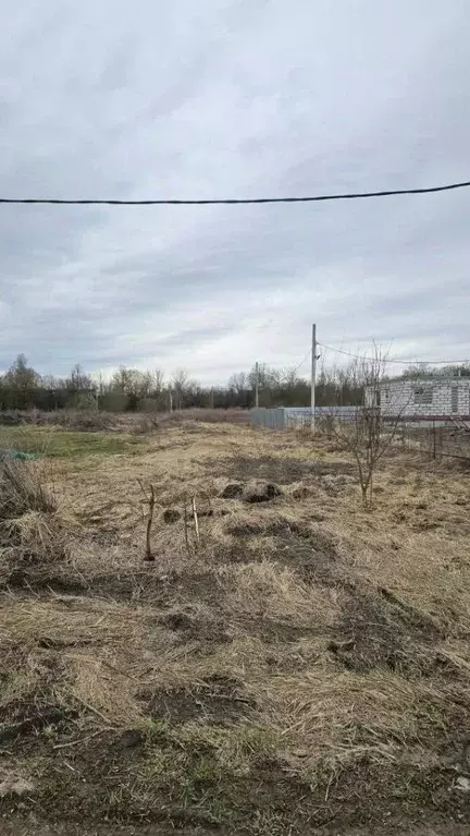 Участок в Тульская область, Тула городской округ, с. Федоровка 5А ... - Фото 1