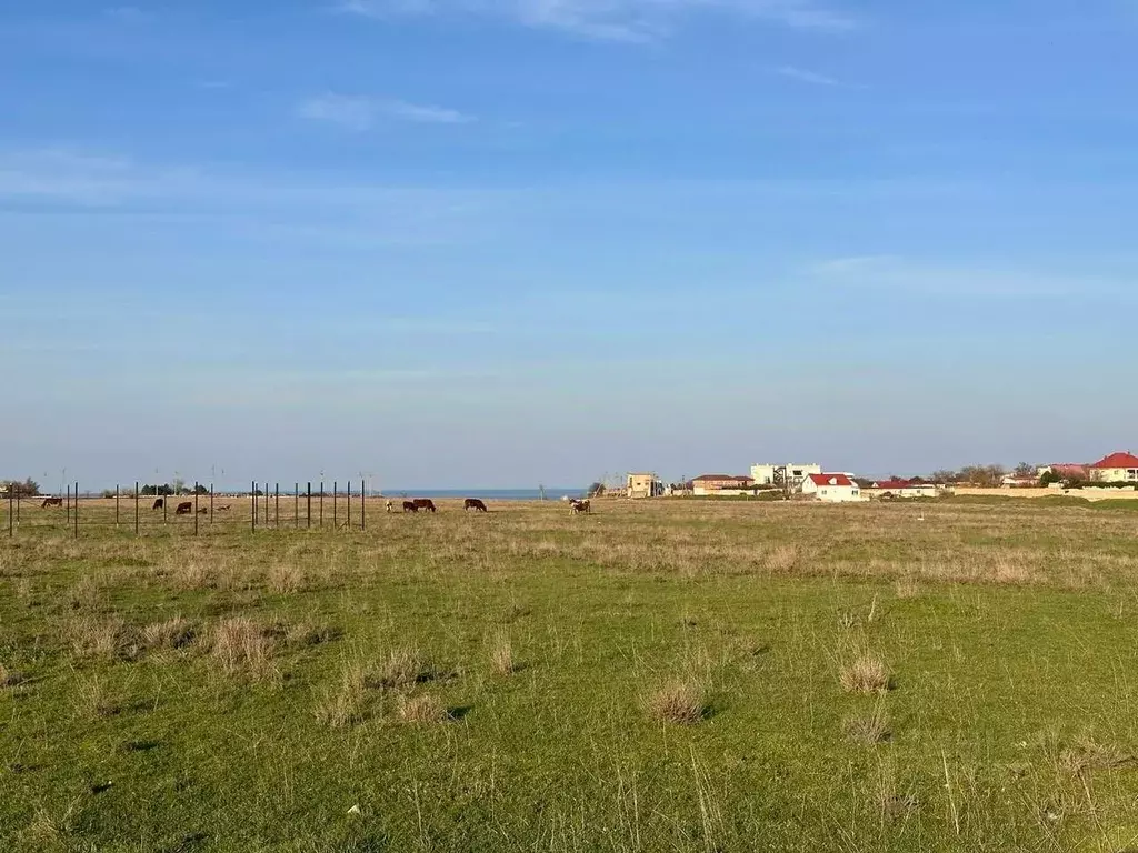 Участок в Крым, Ленинский район, Семисотское с/пос, с. Каменское 99 ... - Фото 0