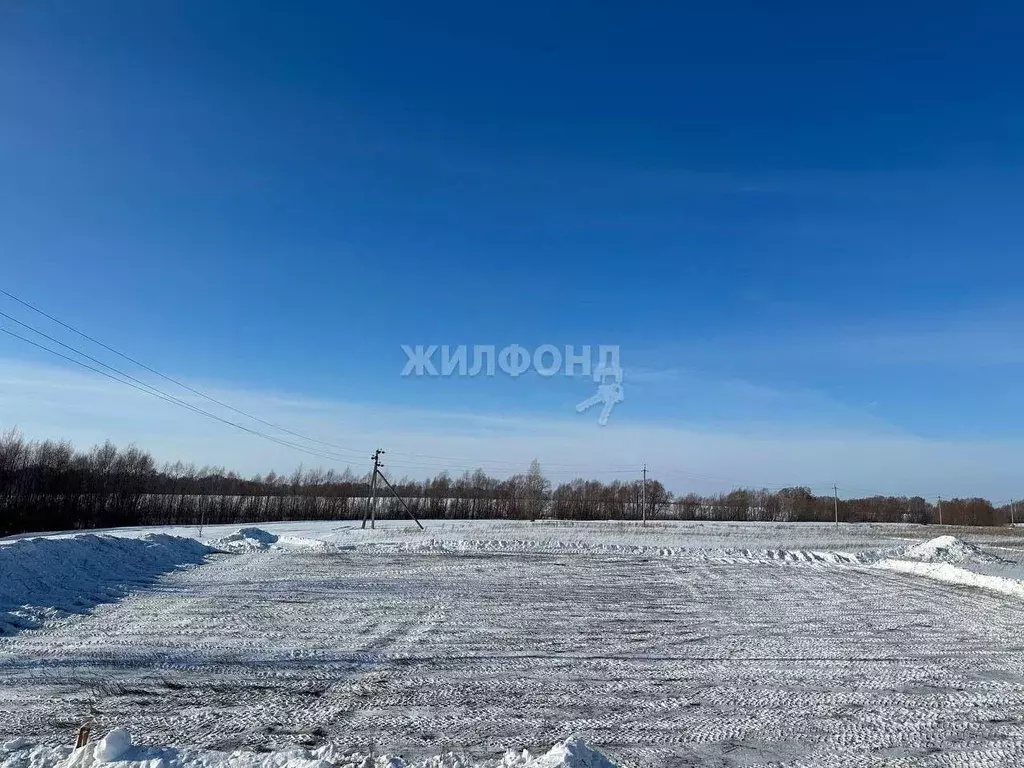 Участок в Новосибирская область, Новосибирский район, Морской ... - Фото 0